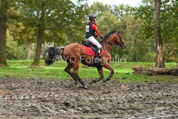 20241019-dsc_7719-standard-2yeaae.jpg