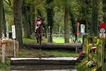20241019-dsc_7720-standard-h5yy7h.jpg