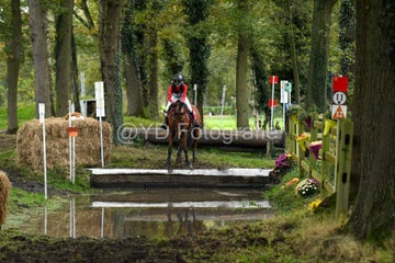 20241019-dsc_7723-standard-elqayu.jpg