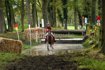 20241019-dsc_7734-standard-7btzb0.jpg