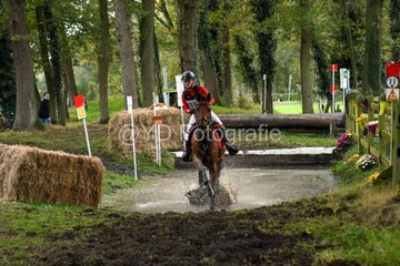 20241019-dsc_7738-standard.jpg