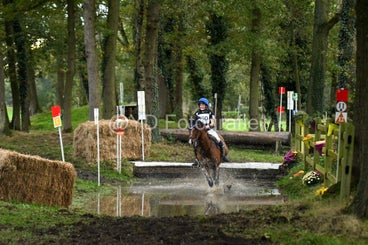 20241019-dsc_7757-standard-vb811y.jpg