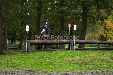 20241019-dsc_7770-standard-ffgssy.jpg