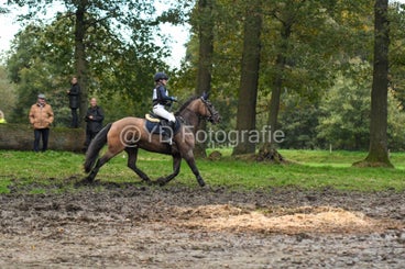 20241019-dsc_7777-standard-8oqc9r.jpg