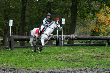 20241019-dsc_7840-standard-dls49x.jpg