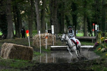 20241019-dsc_7856-standard-gzux12.jpg