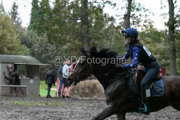 20241019-dsc_7901-standard-e26itc.jpg