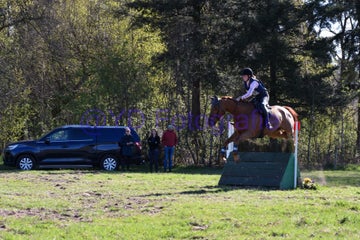 20250406-dsc_1782-standard.jpg