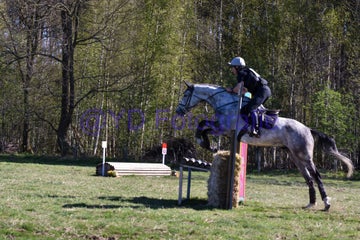 20250406-dsc_1869-standard.jpg