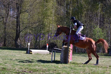 20250406-dsc_1938-standard.jpg