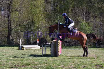 20250406-dsc_2000-standard.jpg