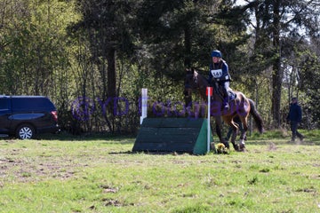 20250406-dsc_2003-standard.jpg