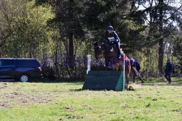 20250406-dsc_2004-standard.jpg