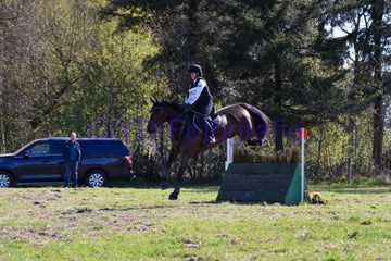 20250406-dsc_2012-standard.jpg