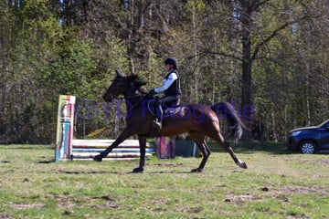20250406-dsc_2015-standard.jpg