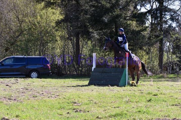 20250406-dsc_2023-standard.jpg