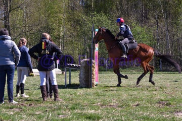 20250406-dsc_2067-standard.jpg