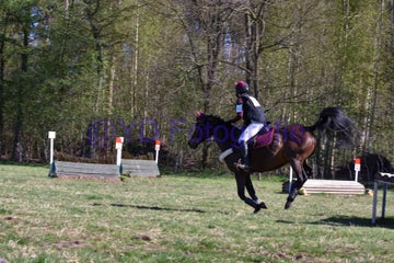 20250406-dsc_2114-standard.jpg
