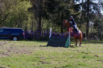 20250406-dsc_2142-standard.jpg