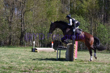 20250406-dsc_2203-standard.jpg