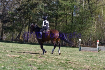20250406-dsc_2207-standard.jpg