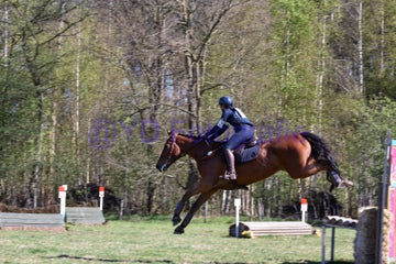 20250406-dsc_2282-standard.jpg