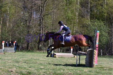 20250406-dsc_2317-standard.jpg
