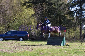 20250406-dsc_2322-standard.jpg