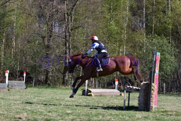 20250406-dsc_2367-standard.jpg