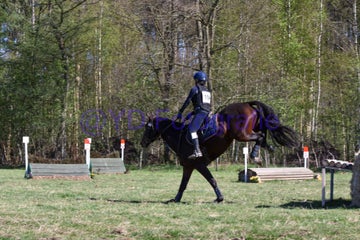 20250406-dsc_2380-standard.jpg