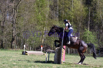20250406-dsc_2401-standard.jpg