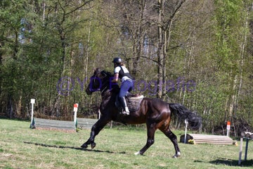 20250406-dsc_2404-standard.jpg