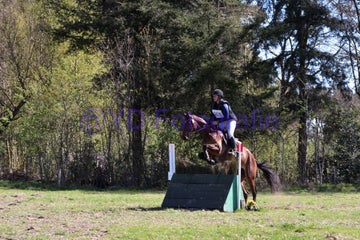 20250406-dsc_2413-standard.jpg