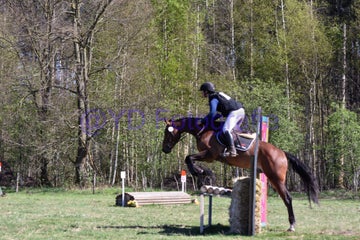 20250406-dsc_2417-standard.jpg