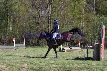 20250406-dsc_2425-standard.jpg