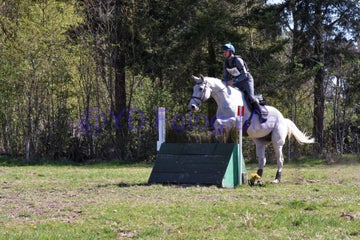 20250406-dsc_2433-standard.jpg
