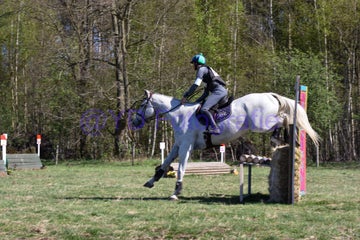 20250406-dsc_2437-standard.jpg