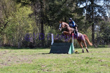 20250406-dsc_2440-standard.jpg