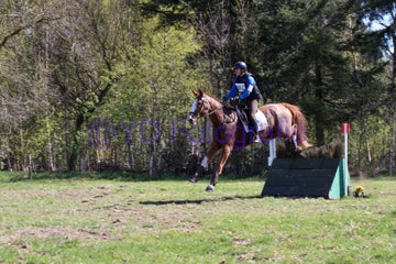 20250406-dsc_2442-standard.jpg