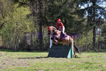 20250406-dsc_2449-standard.jpg