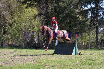 20250406-dsc_2450-standard.jpg