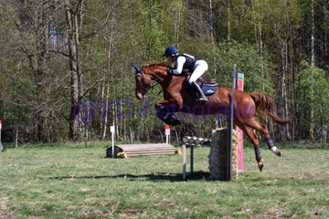20250406-dsc_2459-standard.jpg