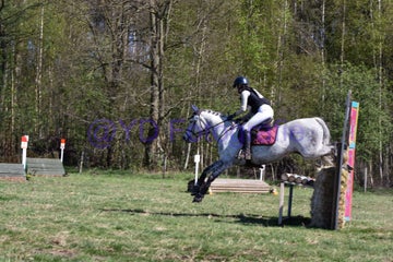20250406-dsc_2466-standard.jpg