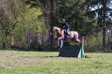20250406-dsc_2470-standard.jpg