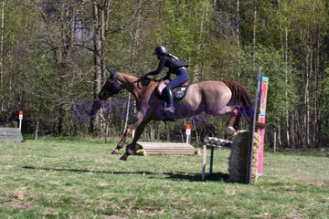 20250406-dsc_2474-standard.jpg