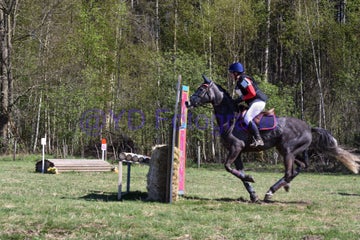 20250406-dsc_2485-standard.jpg