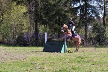 20250406-dsc_2496-standard.jpg