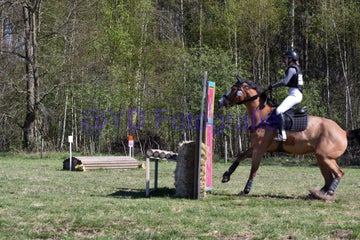 20250406-dsc_2499-standard.jpg