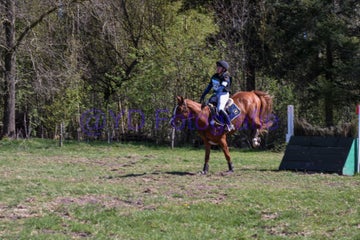 20250406-dsc_2567-standard.jpg