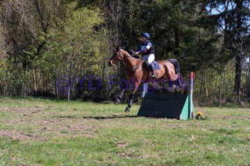 20250406-dsc_2582-standard.jpg